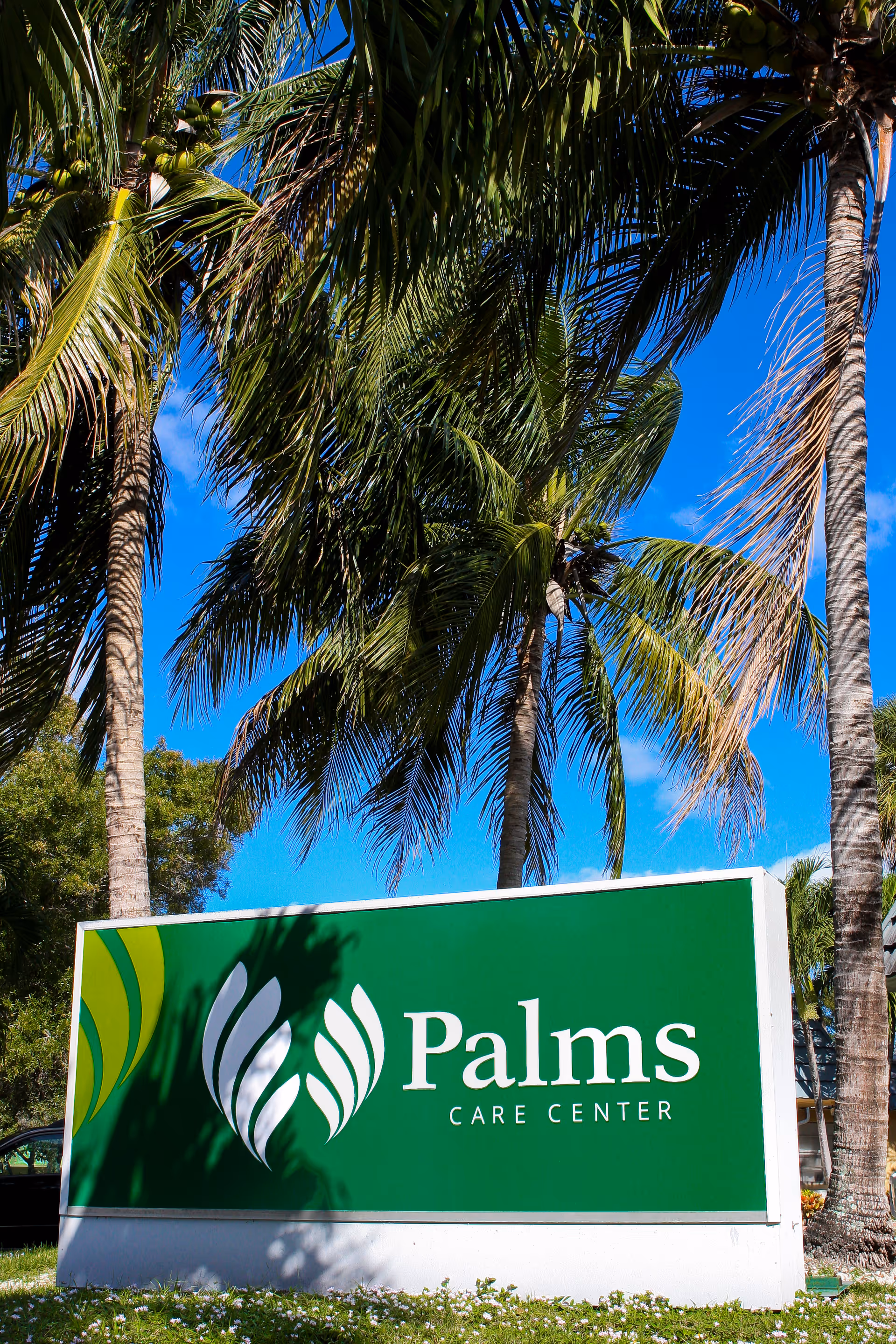 Green sign reading "Palms Care Center" set on grass with palm trees and a bright blue sky behind it.