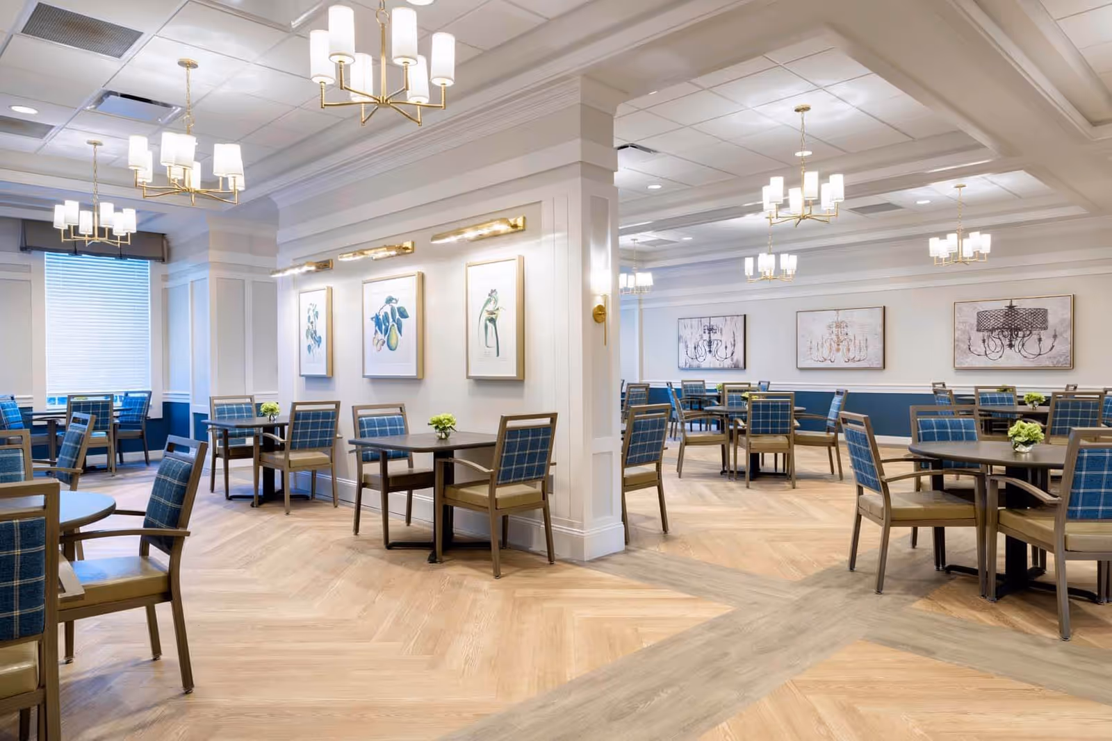 A spacious and well-lit dining room with multiple tables and chairs arranged neatly. The chairs have blue plaid upholstery and the tables are decorated with small green floral centerpieces. The room features light wood flooring, white walls with blue wainscoting, framed artwork, and elegant gold chandeliers hanging from the ceiling.