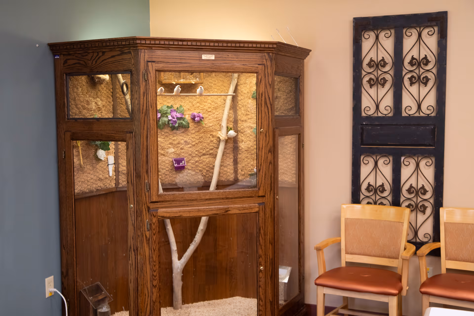 A wooden birdcage with glass panels containing several small birds perched on branches and a few purple flowers inside. Next to the birdcage are two wooden chairs with cushioned seats and backs, and a decorative wrought iron wall hanging on a beige wall.