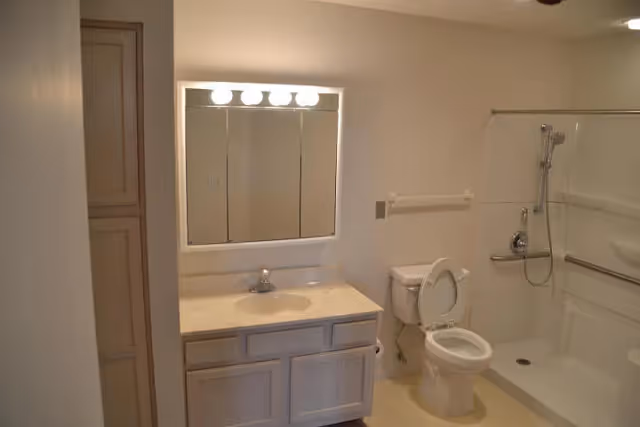 Bathroom with a vanity and mirror, toilet, and an accessible walk-in shower with grab bars.