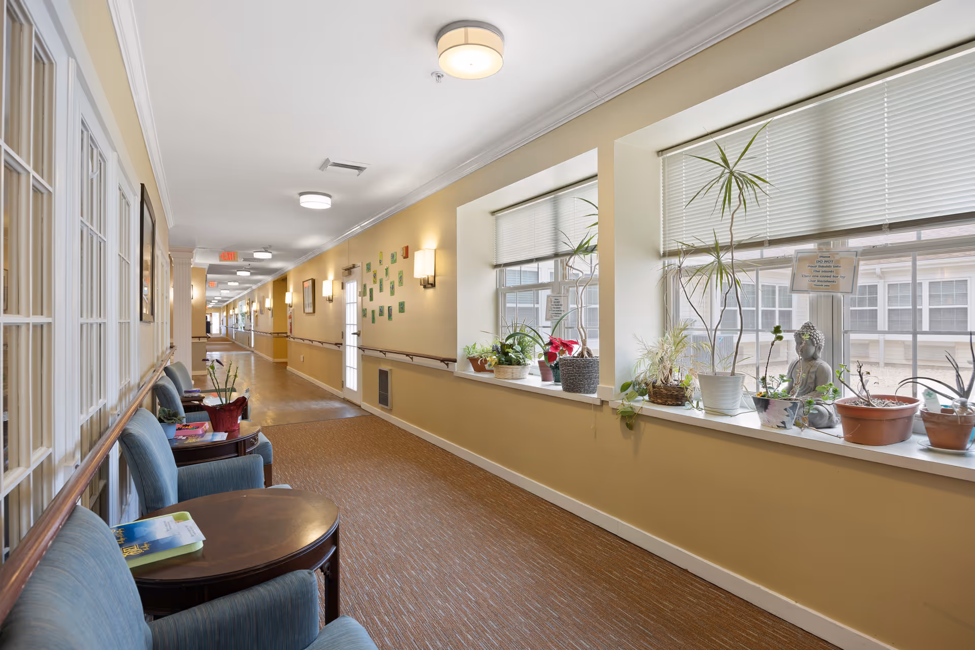 A long, well-lit hallway in a senior living facility with beige walls and carpeted floor. On the left side, there are blue upholstered chairs and small wooden tables with books and plants. On the right side, large windows with blinds let in natural light, and the windowsills are decorated with various potted plants and a small Buddha statue. Wall sconces provide additional lighting along the hallway.