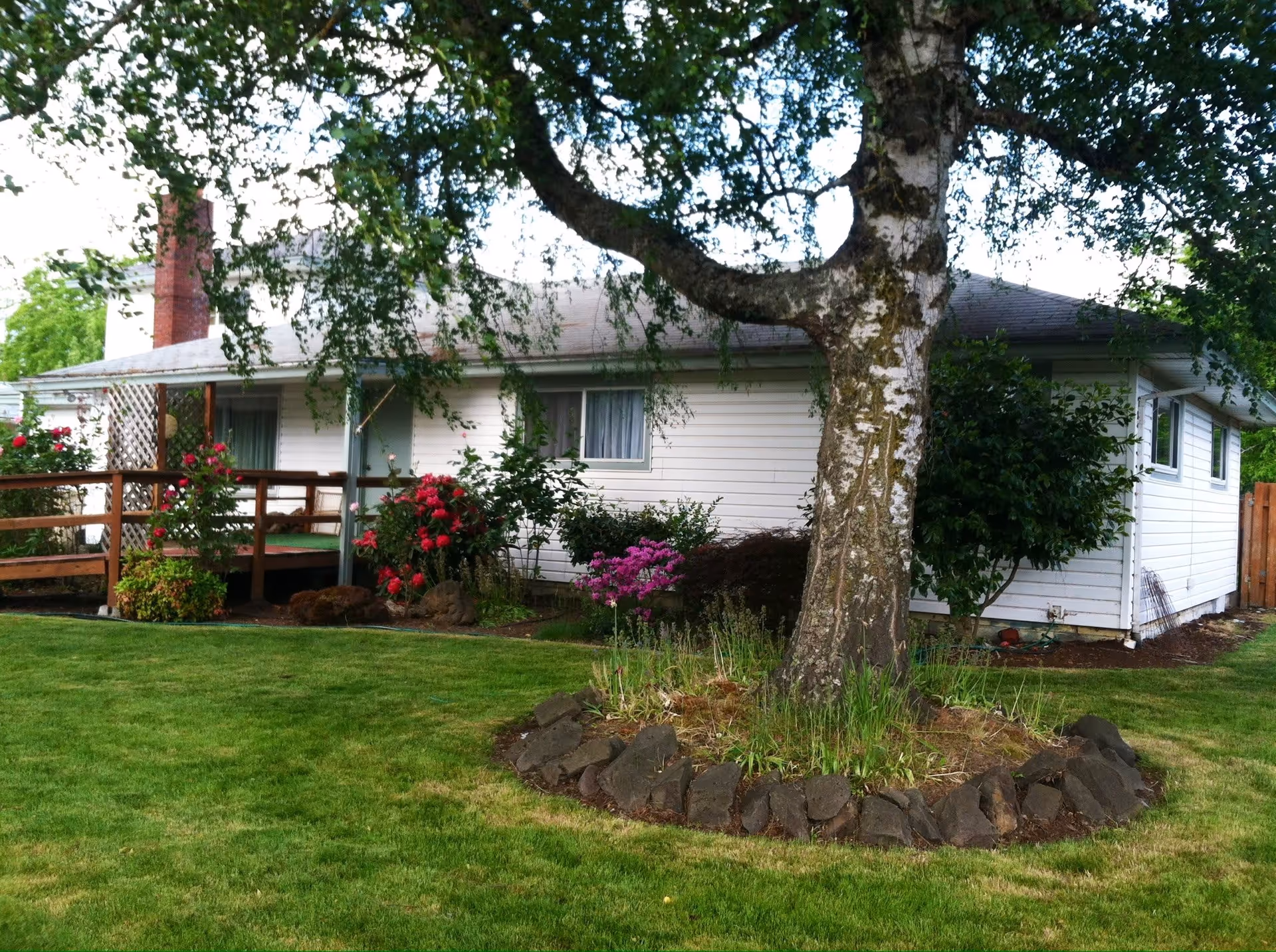A single-story white house with a gray roof surrounded by a well-maintained green lawn and various flowering plants. A large tree with a stone border around its base is in the foreground. There is a wooden ramp leading to the entrance of the house.