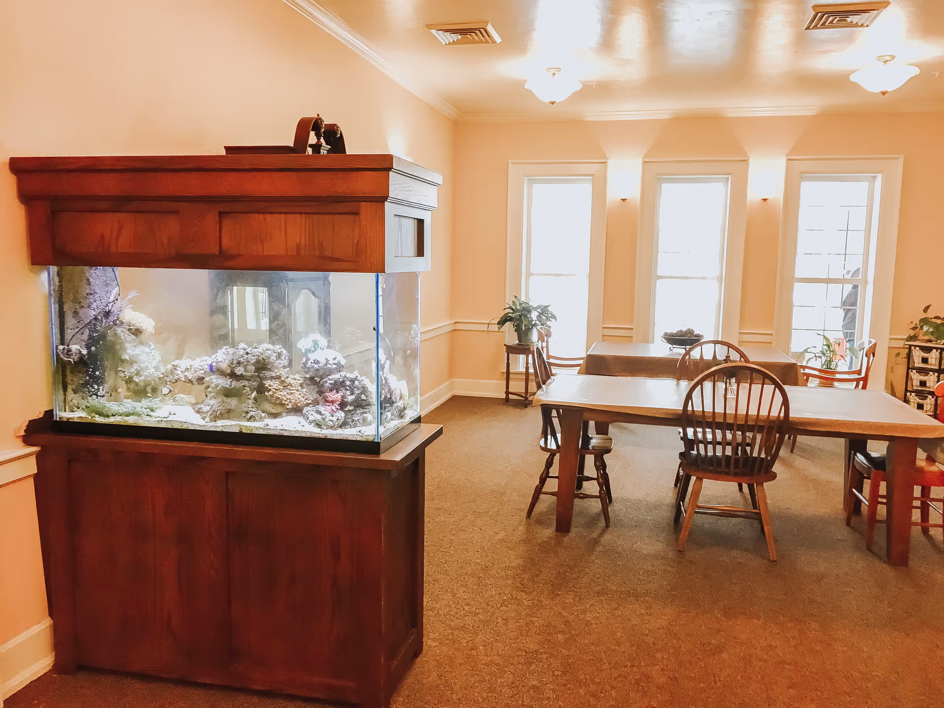Communal dining room with wooden tables and chairs and a large aquarium on a wooden stand.