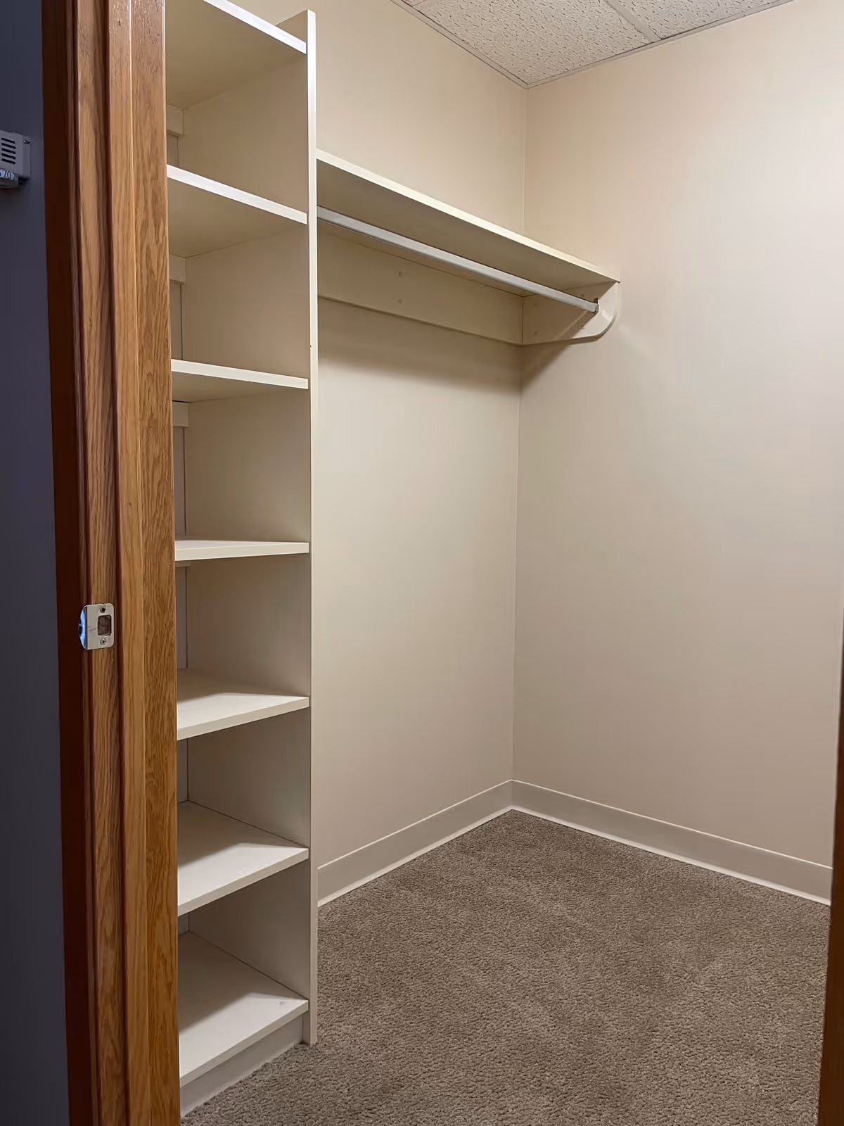Empty walk-in closet with beige walls, carpeted floor, white built-in shelves on the left, and a white hanging rod along the back wall.