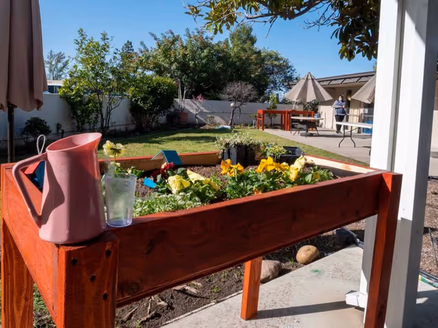 A raised wooden garden bed filled with blooming yellow and white flowers is positioned on a patio. A pink watering can and a glass of water with a flower are placed on the edge of the garden bed. In the background, there is a grassy area with trees and shrubs, a paved walkway, tables with umbrellas, and a person standing near the tables under a clear blue sky.