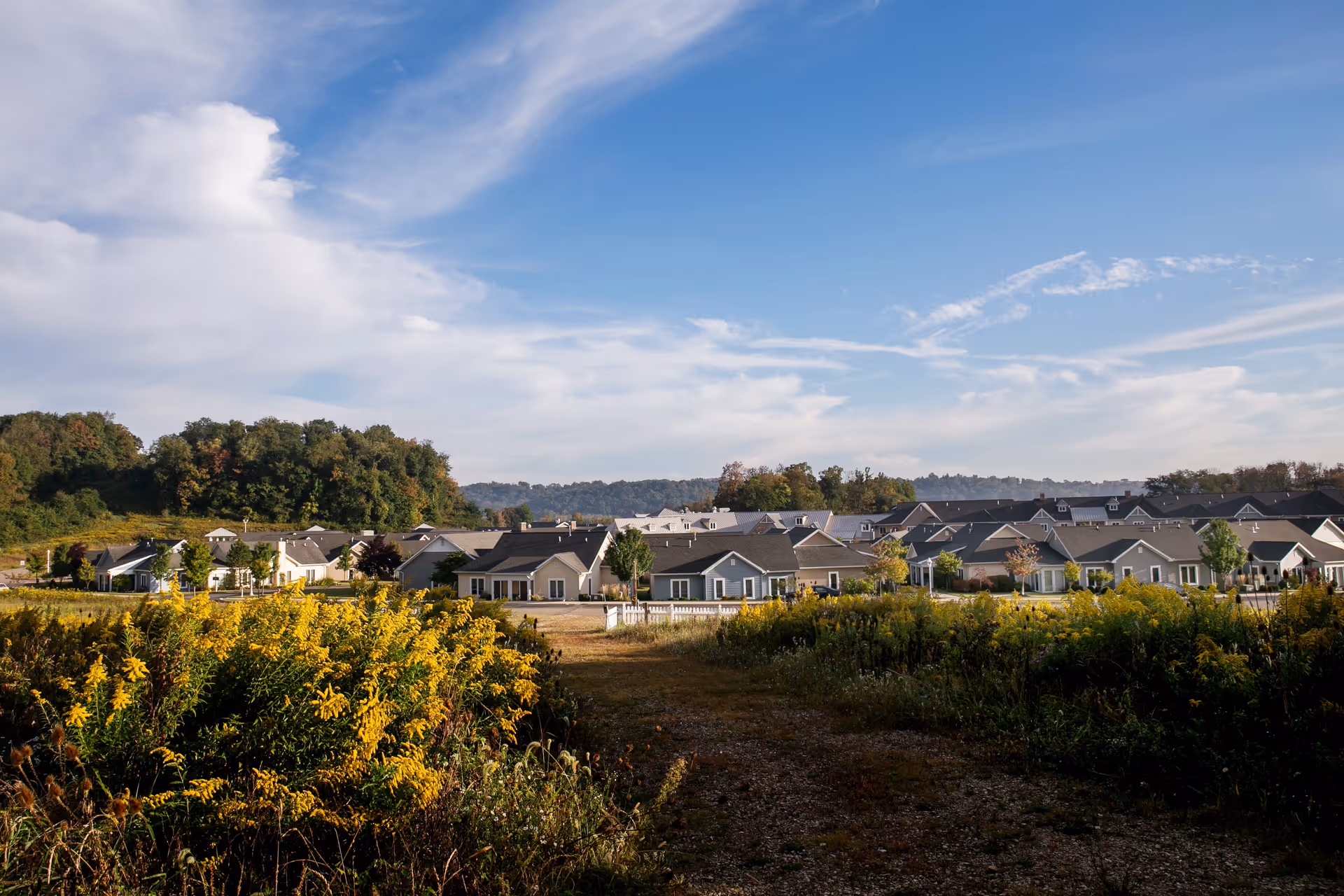 A scenic view of a senior living community with multiple single-story houses surrounded by greenery and yellow wildflowers under a partly cloudy blue sky.