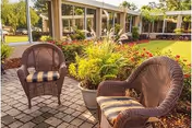 Outdoor patio area with two wicker chairs featuring striped cushions, a large potted plant with green foliage, and a well-maintained garden with flowers and shrubs in front of a single-story building with large windows.