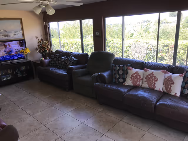 A living room with large windows showing greenery outside. The room has two dark leather sofas and one dark recliner chair in between. The sofas have decorative pillows with various patterns. A ceiling fan with lights is visible above. A TV on a stand is on the left side of the room, displaying a cooking show. There is a painting and a vase with flowers next to the TV.