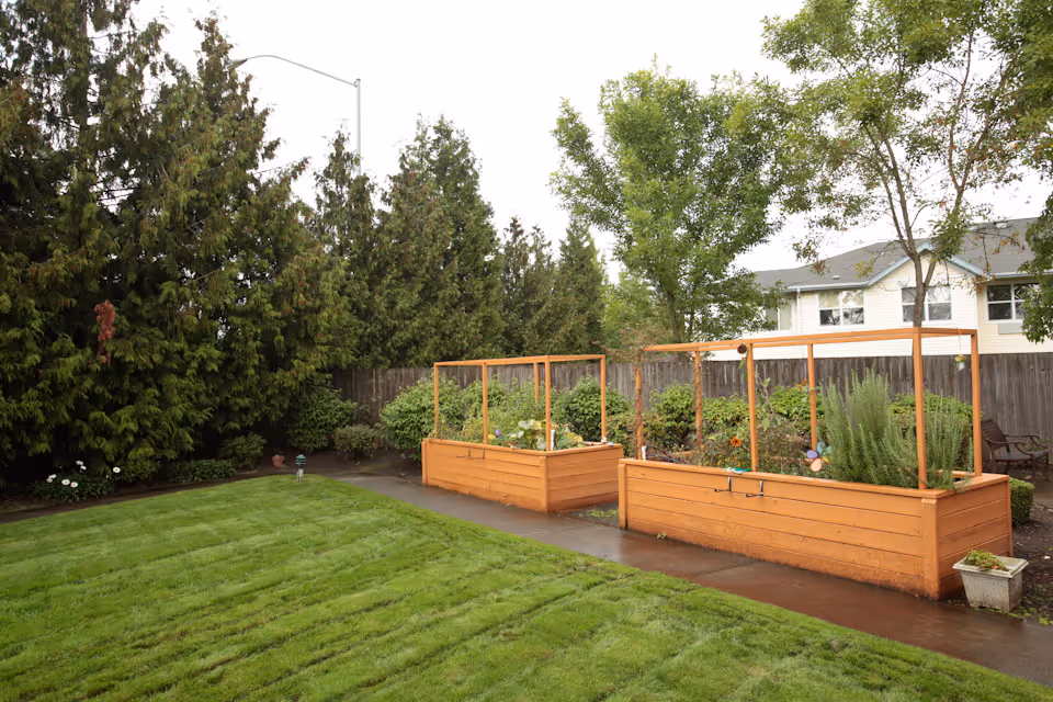 Two wooden raised garden beds beside a paved path and green lawn with trees and a building visible in the background.