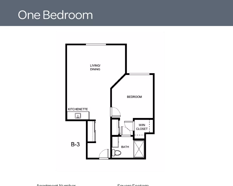 Black-and-white one-bedroom apartment floor plan labeled B-3 showing a living/dining area, kitchenette, bedroom, walk-in closet and bathroom.