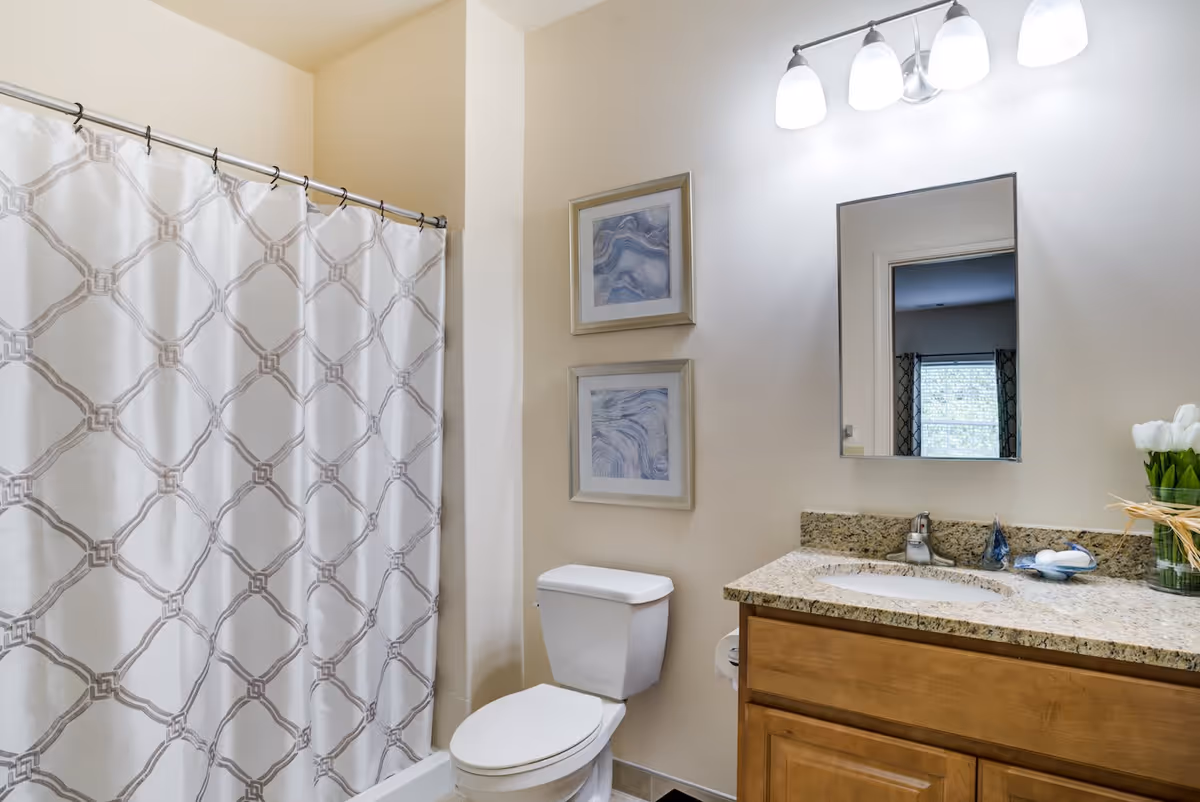 A bathroom with a white toilet, a granite countertop with a sink, a mirror above the sink, a light fixture with four bulbs, two framed abstract art pieces on the wall, and a shower with a white curtain featuring a geometric pattern.