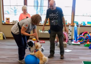 Two adults interacting with two small dogs in a brightly lit room with large windows. One person is bending down to pet a dog sitting on a blue exercise ball, while the other stands nearby. The room has various colorful toys and equipment in the background.