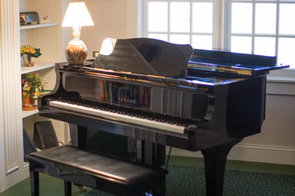 Black grand piano and bench in a bright interior room beside a bookshelf and window.