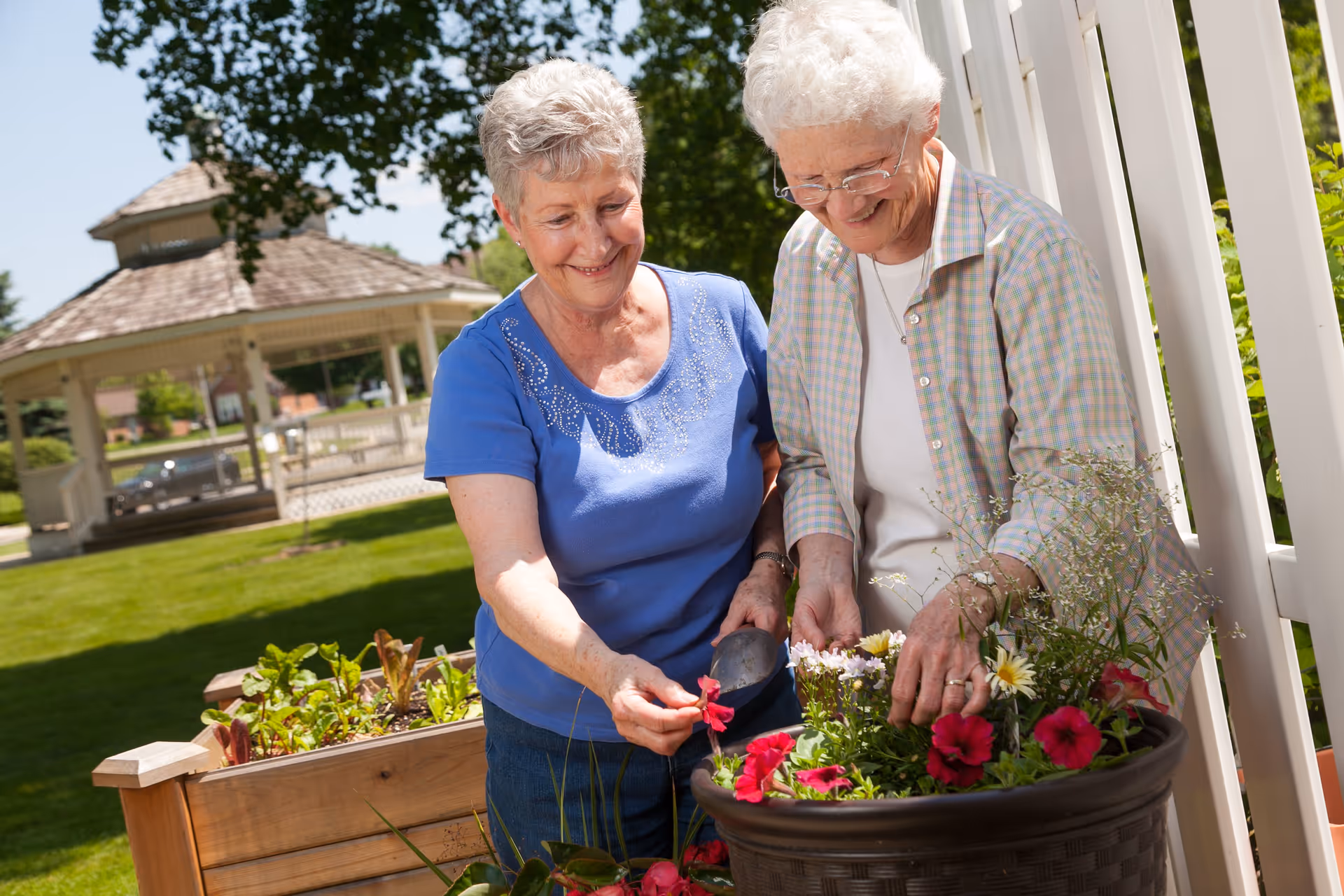 Two elderly women gardening outdoors on a sunny day, tending to flowers in a large planter with a gazebo and green lawn in the background.