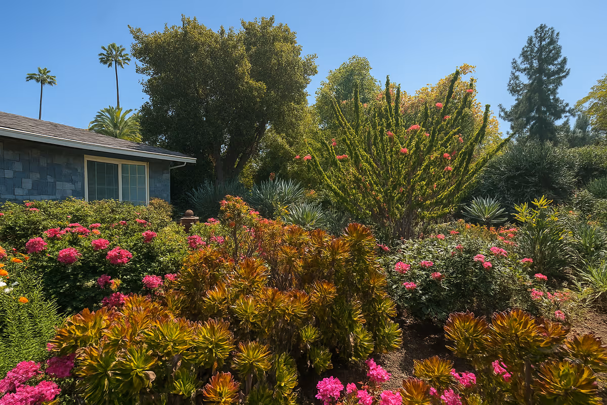Colorful landscaped garden with flowering shrubs and succulents beside a single-story building under a clear blue sky.