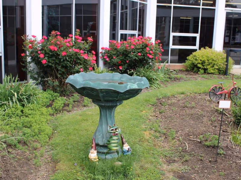 A green birdbath with a frog and gnome figures stands in a grassy courtyard bed bordered by blooming pink bushes in front of a building's windows.