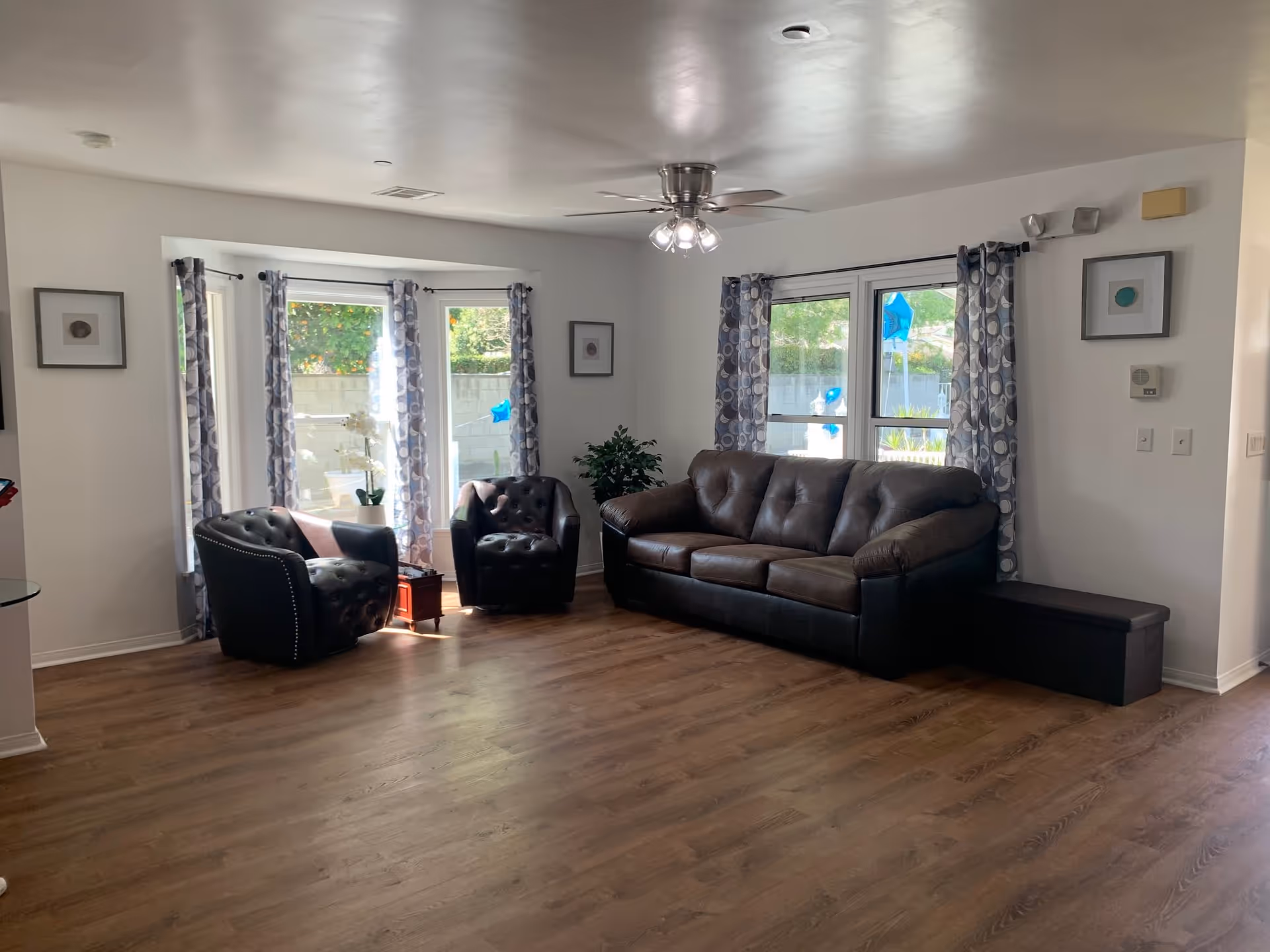 A bright living room with wooden flooring, featuring a brown leather sofa, two matching armchairs, a small wooden side table with a white orchid plant, and large windows with patterned curtains letting in natural light. There is a ceiling fan with lights and framed artwork on the walls.