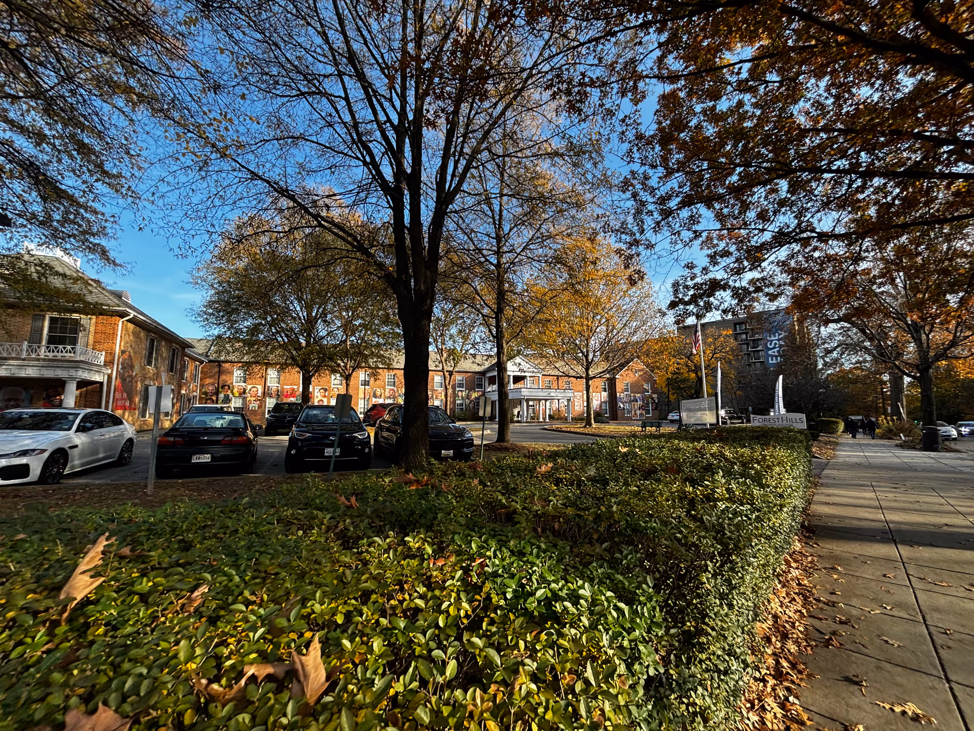 Exterior view of a senior living facility named Forest Hills with a brick building, several parked cars, trees with autumn leaves, and a sidewalk with people walking in the distance under a clear blue sky.