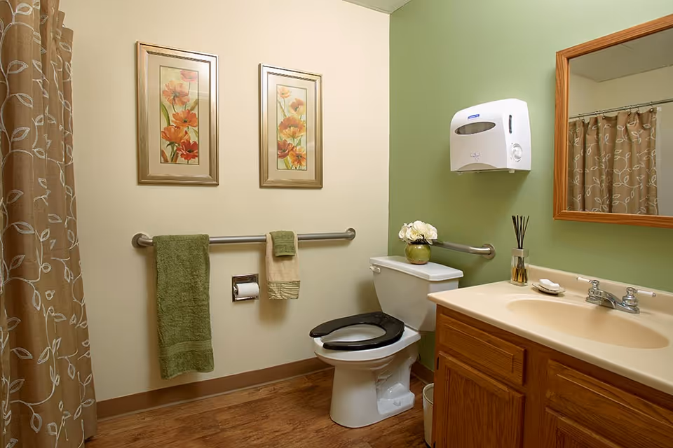 Accessible bathroom with a toilet (raised seat), sink and vanity, shower with patterned curtain, grab bars, and framed floral artwork.
