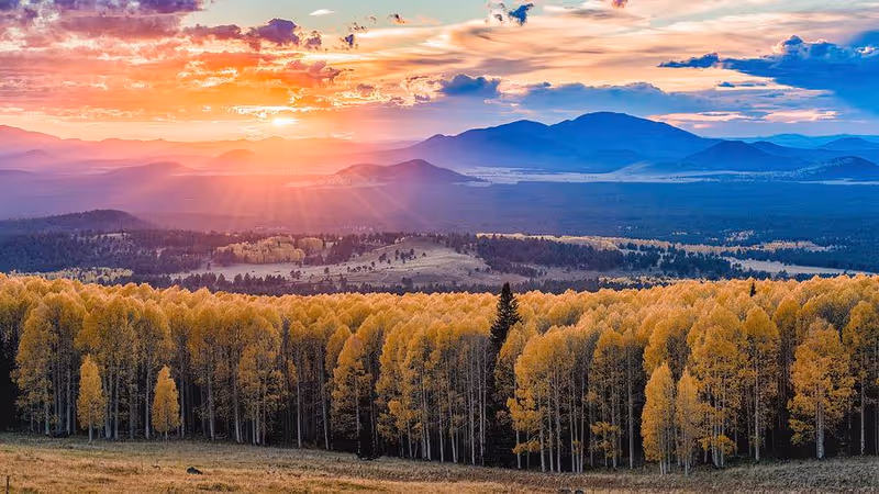 A scenic landscape showing a forest of yellow autumn trees in the foreground with rolling hills and mountains in the background under a colorful sunset sky with scattered clouds.