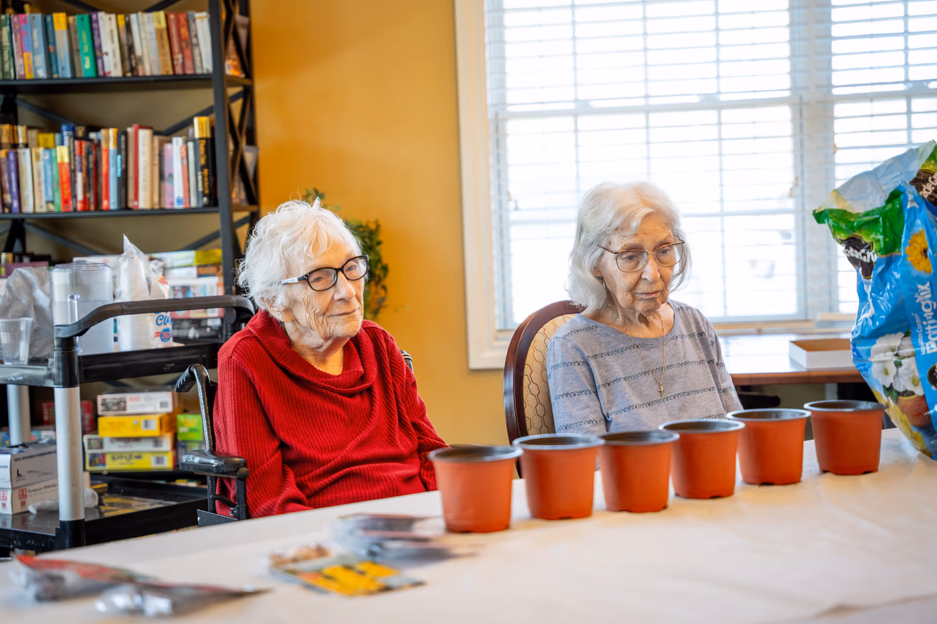 Two elderly women sitting at a table indoors with several small empty plant pots lined up in front of them. One woman is wearing a red sweater and glasses, seated in a wheelchair, and the other woman is wearing a gray striped shirt and glasses. Behind them is a bookshelf filled with books and a window with blinds letting in natural light.