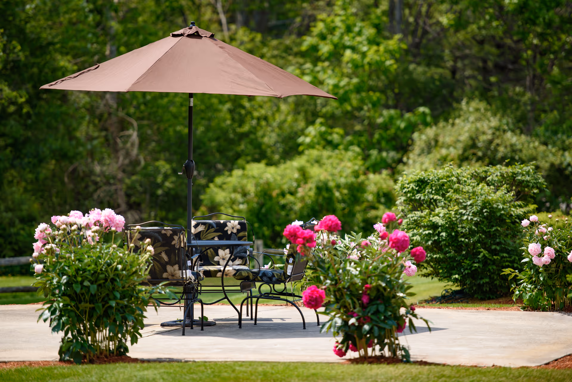 Outdoor patio with a table, chairs, and a brown umbrella surrounded by pink flowering bushes and trees.