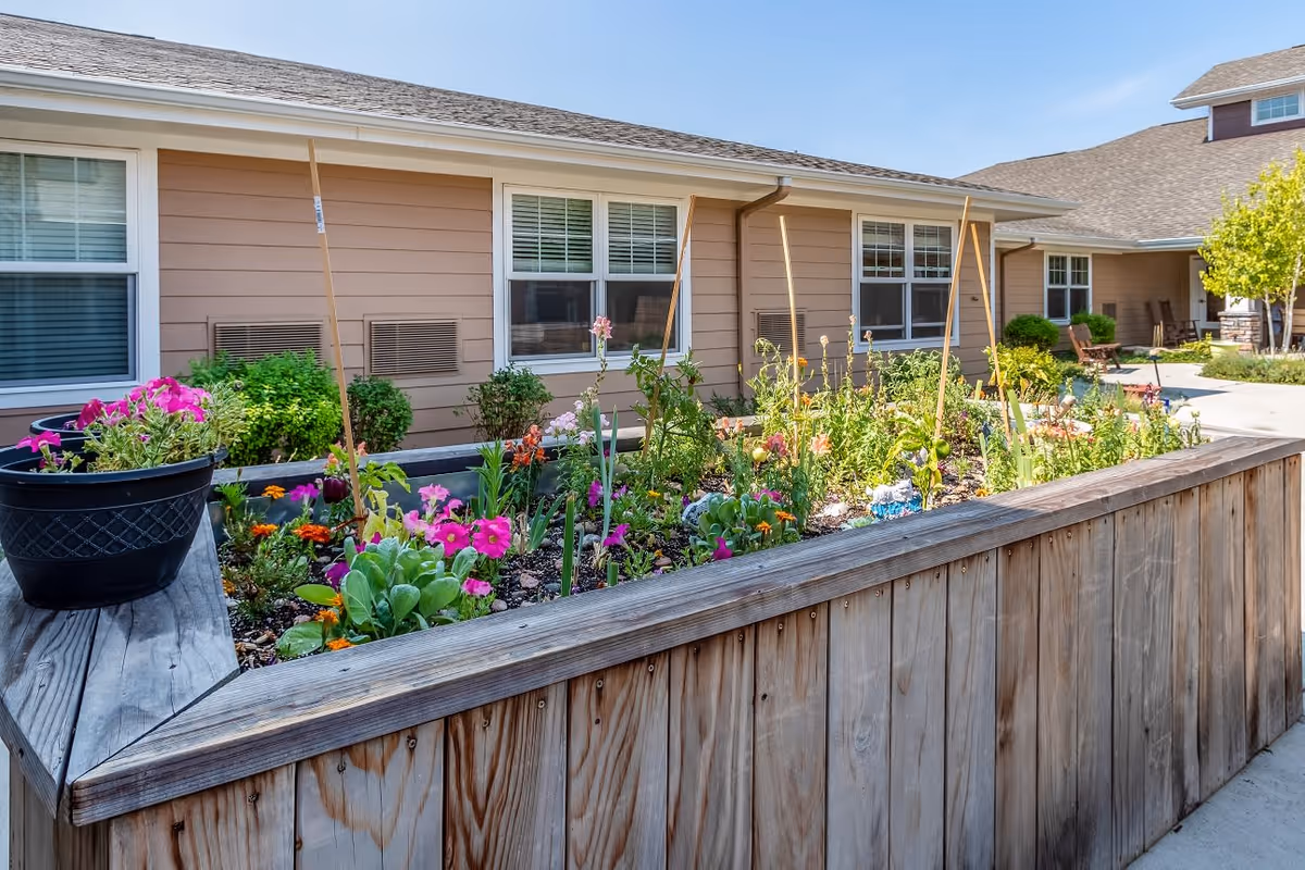 A raised wooden garden bed filled with various colorful flowers and plants, situated outdoors in front of a beige building with multiple windows. There are wooden stakes in the garden bed, and a black flower pot with pink flowers sits on the corner of the bed. The area is sunny and well-maintained.
