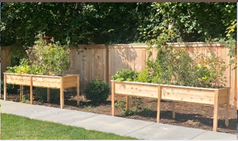 Two raised wooden garden beds with plants beside a wooden fence, a sidewalk, and a lawn.