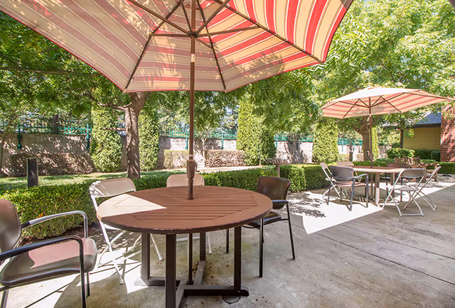 Outdoor patio with round tables, chairs, and striped umbrellas surrounded by trees and hedges.