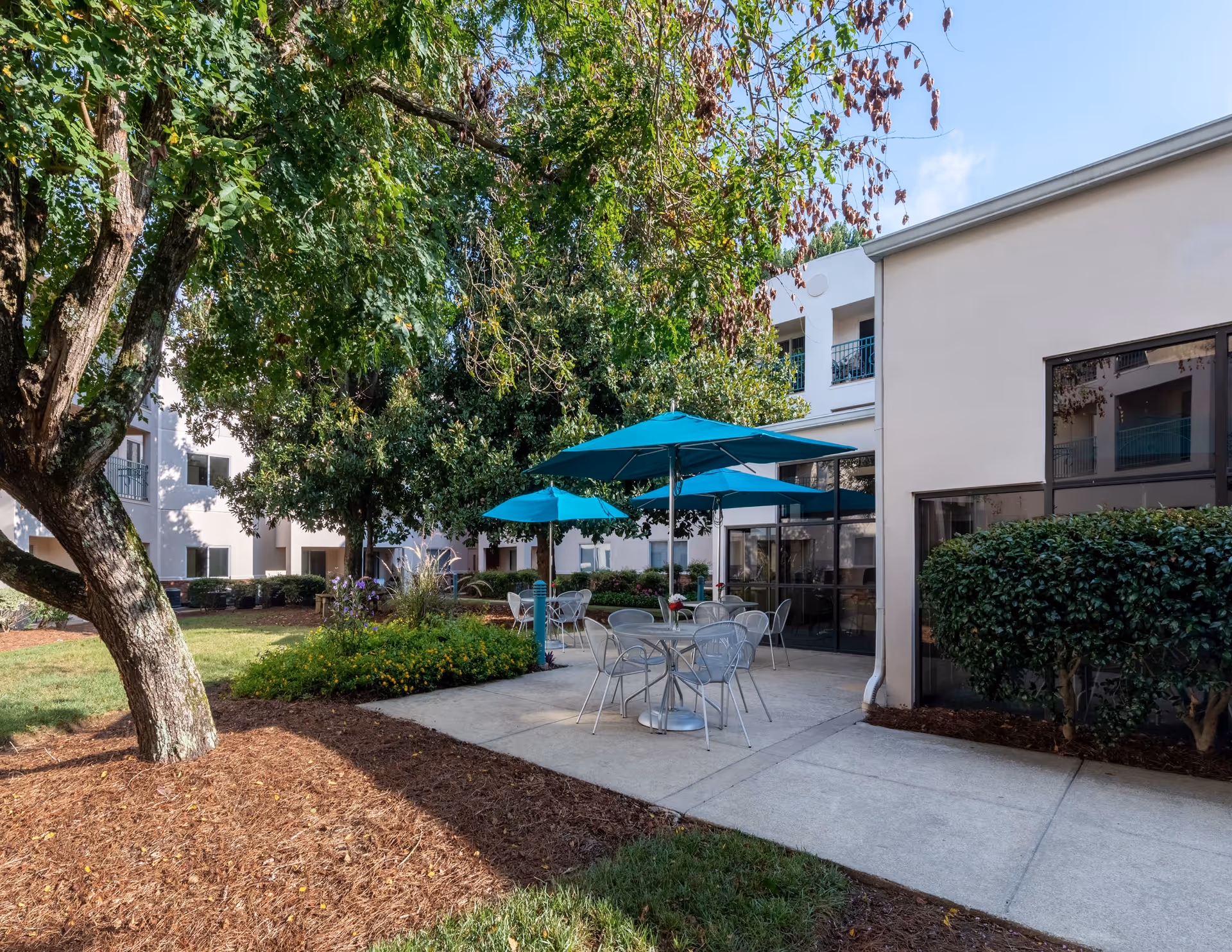 Outdoor patio area at Delmar Gardens of Smyrna with metal tables and chairs under blue umbrellas, surrounded by trees, bushes, and a building with large windows.