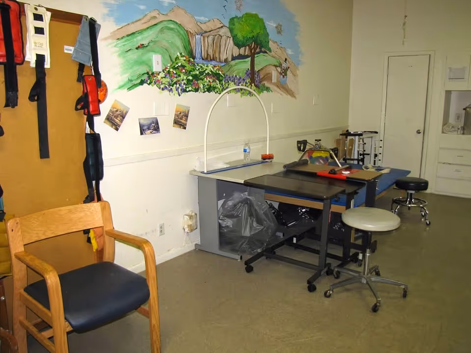 Room with a wooden chair with black cushion, a corkboard with hanging straps, a table with various items including a water bottle and a red clipboard, and a wall mural depicting a landscape with mountains, trees, and a waterfall.