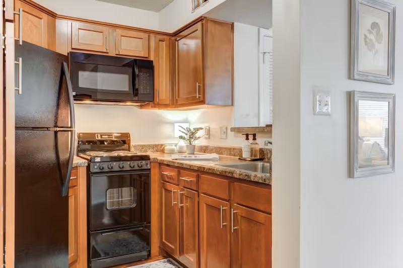 Compact kitchen with wooden cabinets, a black refrigerator, black microwave, and black stove. The countertop has a small plant, soap dispenser, and a towel. Two framed pictures hang on the adjacent white wall.