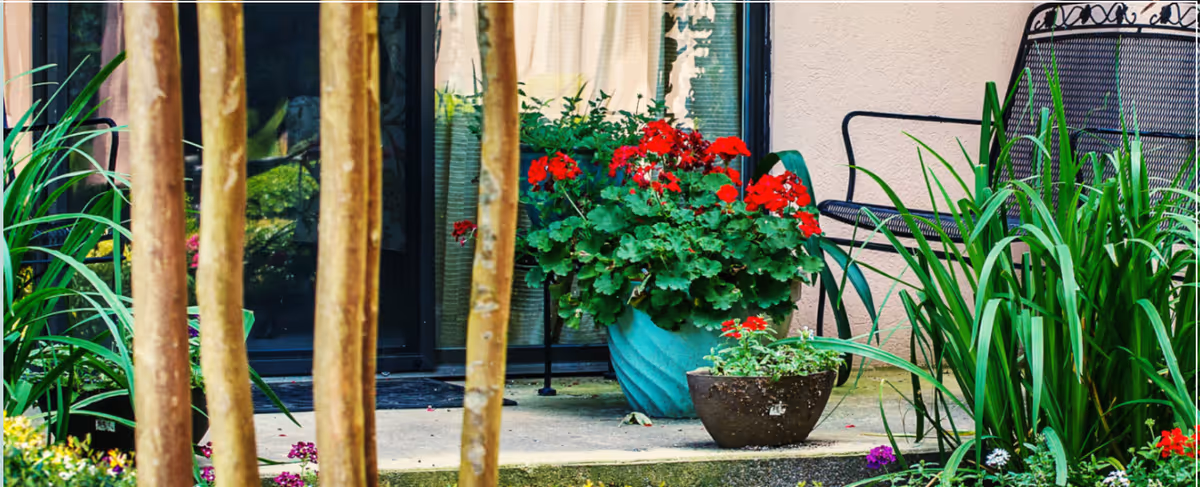 Outdoor patio area with potted plants including red flowers, green leafy plants, and a black metal bench against a beige wall with a glass door in the background.