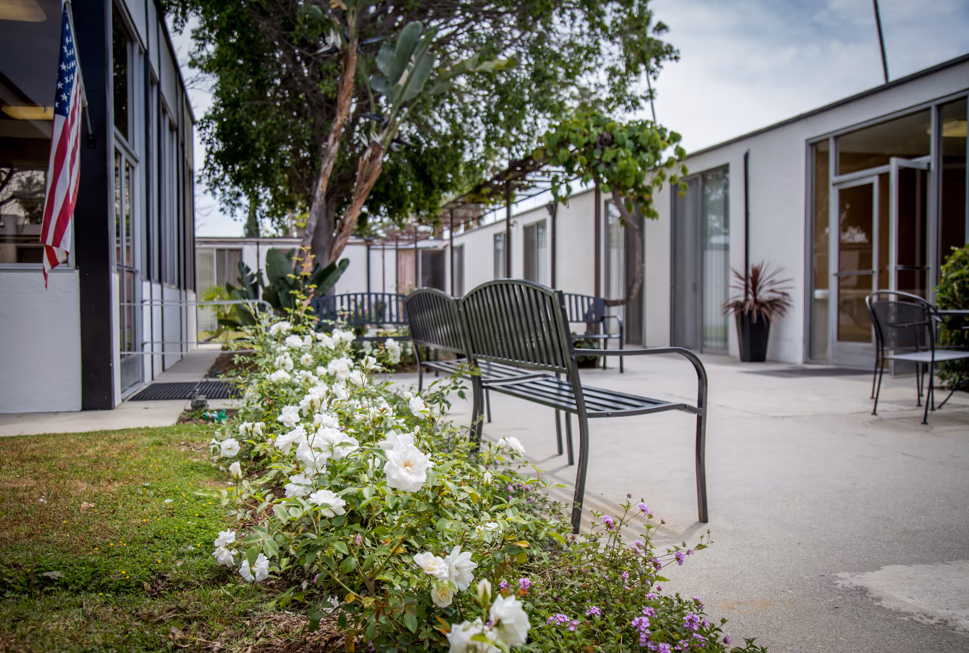 Outdoor courtyard at a care facility with metal benches, white flowering shrubs and walkways between single-story rooms.
