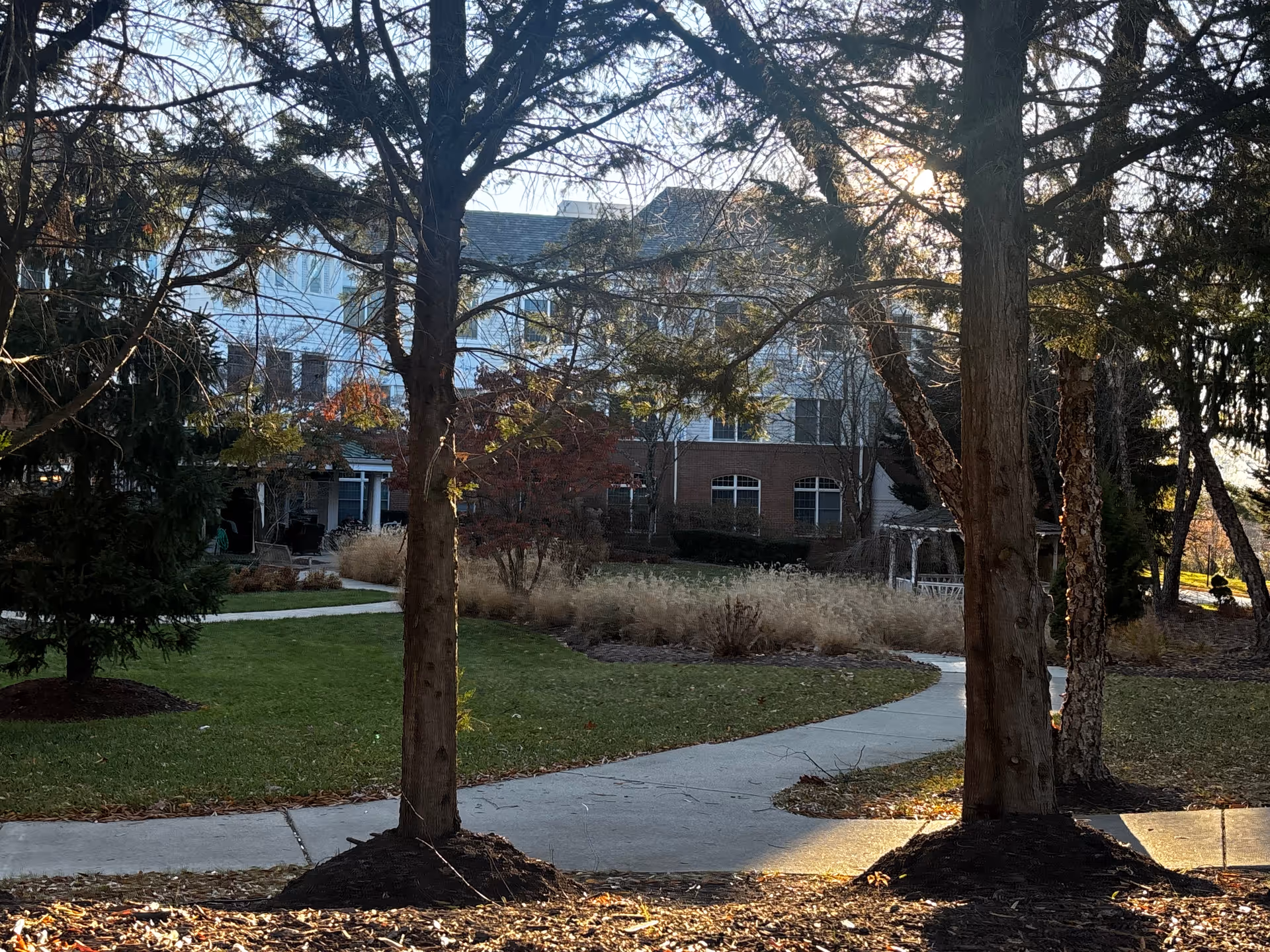 Front exterior of a senior living building seen through trees with a winding sidewalk and landscaped lawn.