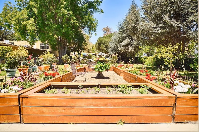 A sunny outdoor garden area with multiple raised wooden planter boxes filled with various plants and flowers. There are trees and shrubs surrounding the garden, and a metal chair is placed near the center. The sky is clear and blue.