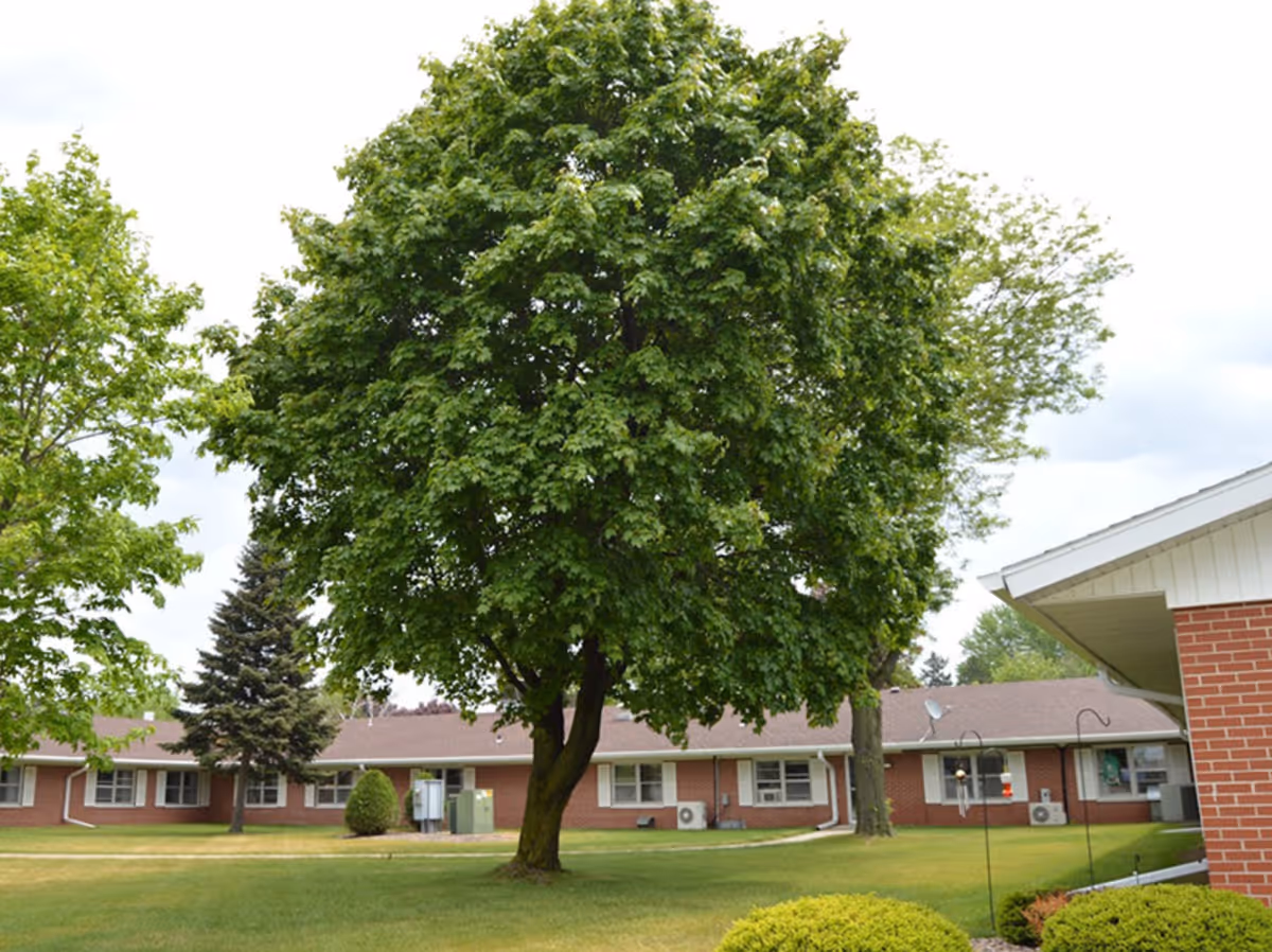 A large green tree stands in the middle of a grassy courtyard surrounded by single-story brick buildings with white trim and brown roofs. The sky is partly cloudy and there are other smaller trees and shrubs around the area.