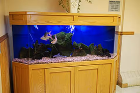 Large aquarium with blue water, rocks, and plants in a wooden cabinet.