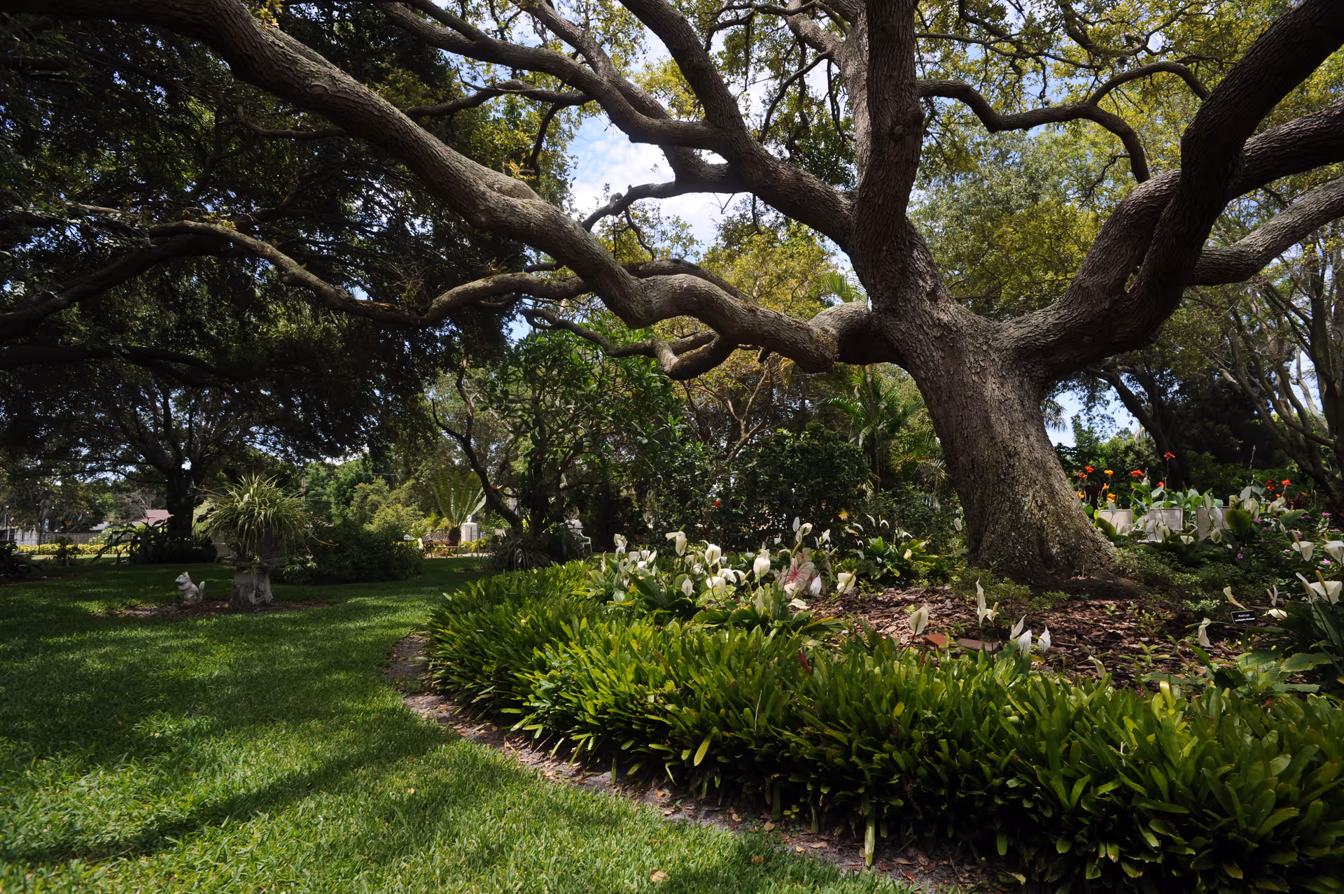 A lush garden area with a large tree featuring thick, sprawling branches. The garden has green grass, various plants, and white flowers surrounding the tree. The sky is partly visible through the tree branches.