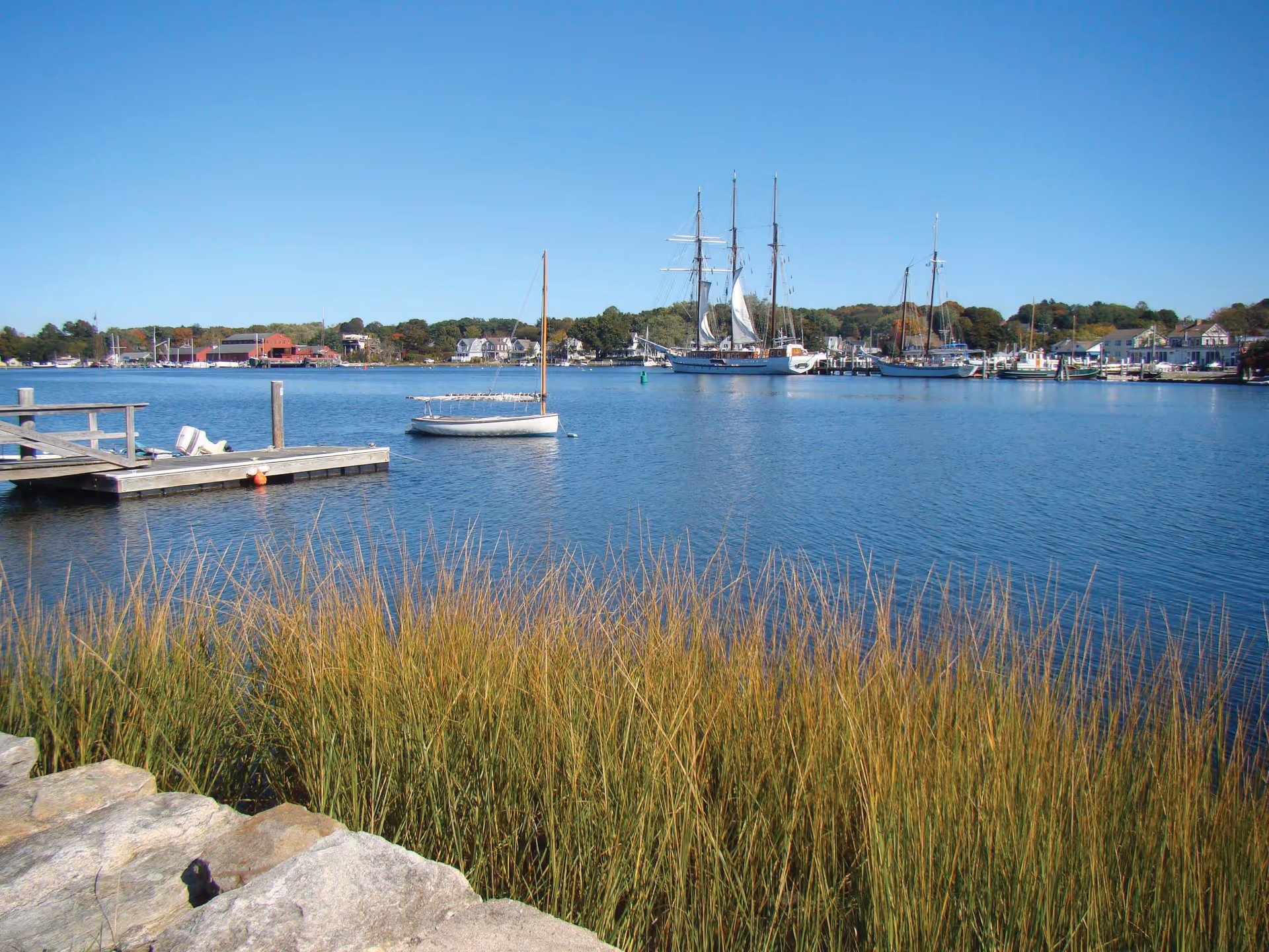 A calm waterfront scene with tall grass in the foreground, a wooden dock extending into the water on the left, several sailboats and ships anchored in the water, and houses and trees lining the distant shore under a clear blue sky.
