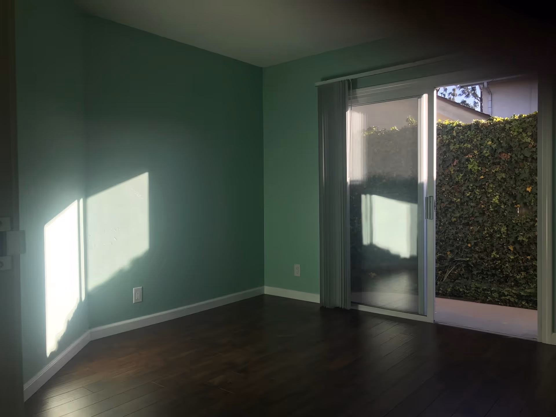 Empty room with teal walls and dark wooden floor, sunlight casting a shadow on the wall, and a sliding glass door leading to an outdoor area with a green ivy-covered wall.