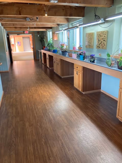 A long hallway with wooden flooring and exposed wooden ceiling beams. On the right side, there is a long counter with multiple potted plants and artwork hanging on the light blue wall above it. The hallway is well-lit with natural light coming through the windows and ceiling lights. At the far end, there is an exit door with an American flag visible through it.