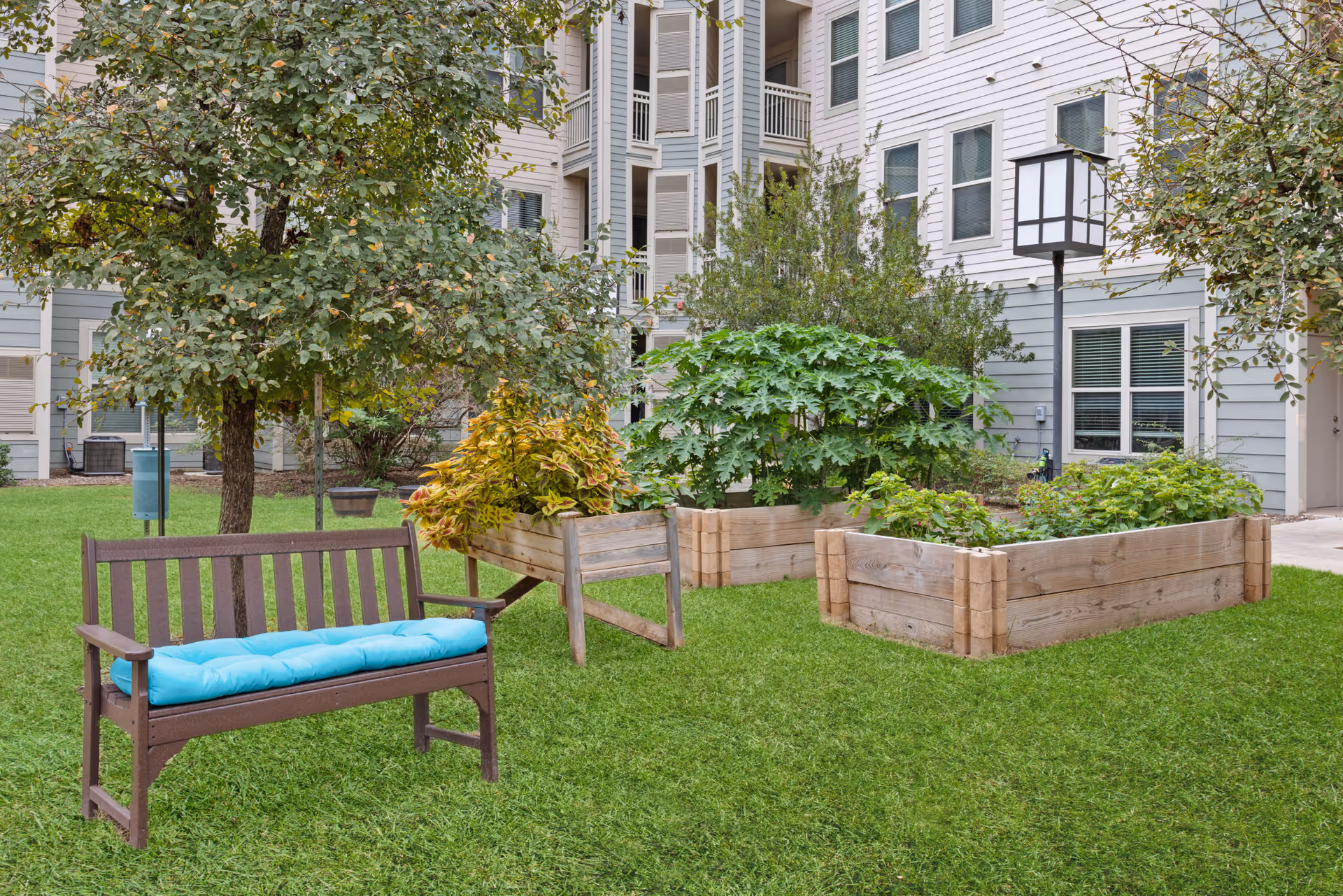 Outdoor garden area with raised wooden planter boxes containing various green plants and shrubs, a wooden bench with a blue cushion, trees, and a multi-story residential building in the background.