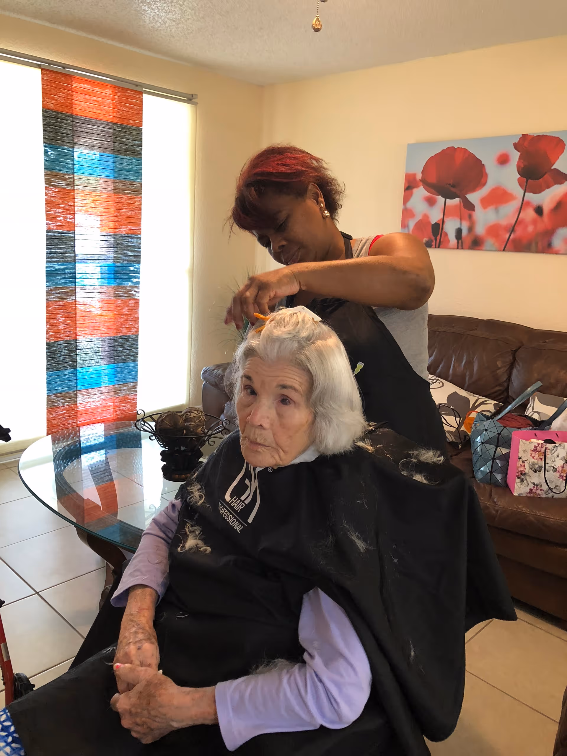 An elderly woman with white hair is seated indoors, getting her hair styled by a hairdresser standing behind her. The elderly woman is wearing a black hairdressing cape with some cut hair on it. The room has a glass table, a brown leather couch, colorful vertical blinds on the window, and a wall painting of red flowers.