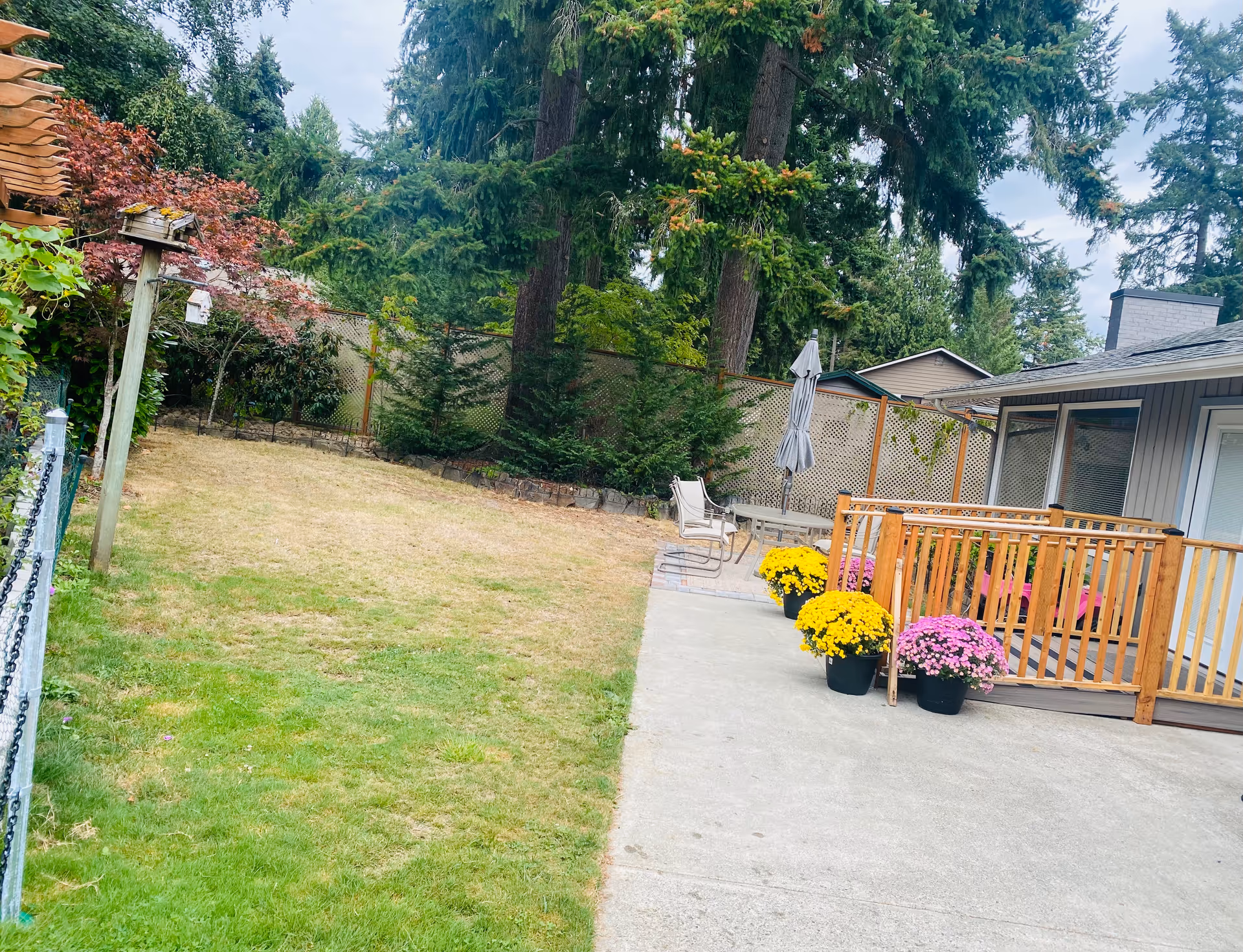 Outdoor area of a senior living facility with a grassy lawn, a wooden fence, tall trees, and a concrete patio. The patio has a wooden railing, potted yellow and pink flowers, a table with chairs, and a closed umbrella.