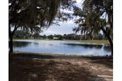 Shaded lakeside scene with overhanging trees and calm water beyond a dirt foreground.