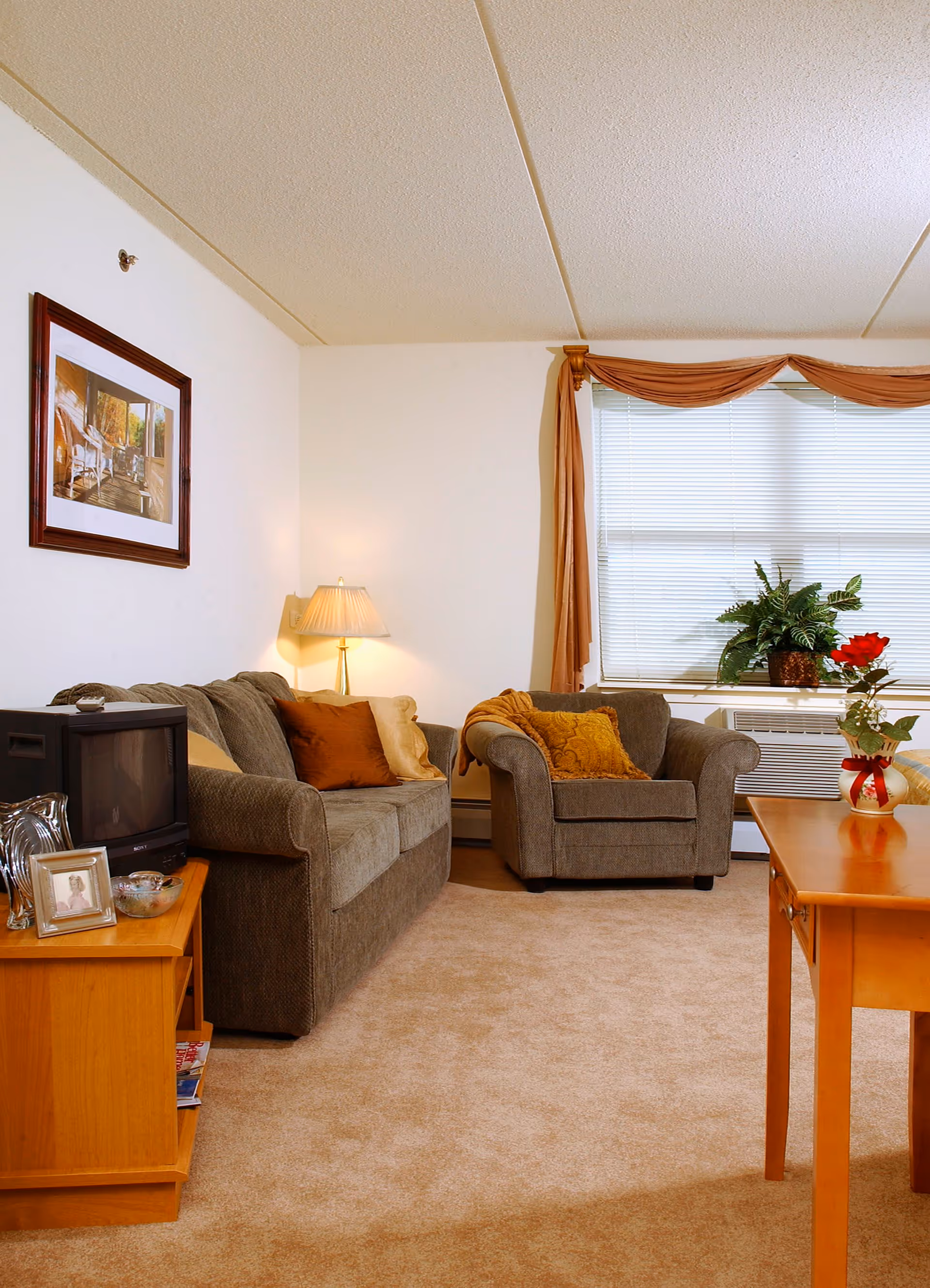 A cozy living room with a brown sofa and matching armchair, both adorned with decorative pillows. A wooden side table holds a small TV, framed photo, and decorative items. A floor lamp is positioned behind the sofa. A large window with blinds and a brown valance lets in natural light, with a green plant on the windowsill. A wooden coffee table with a vase of red flowers is in the foreground.
