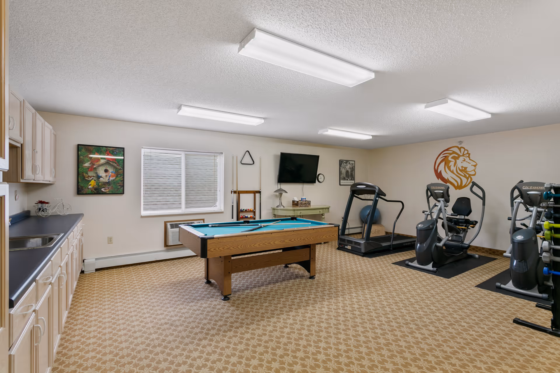 A multipurpose interior room with a pool table in the center, exercise machines along one wall, a small kitchenette, TV, and a lion wall decal.