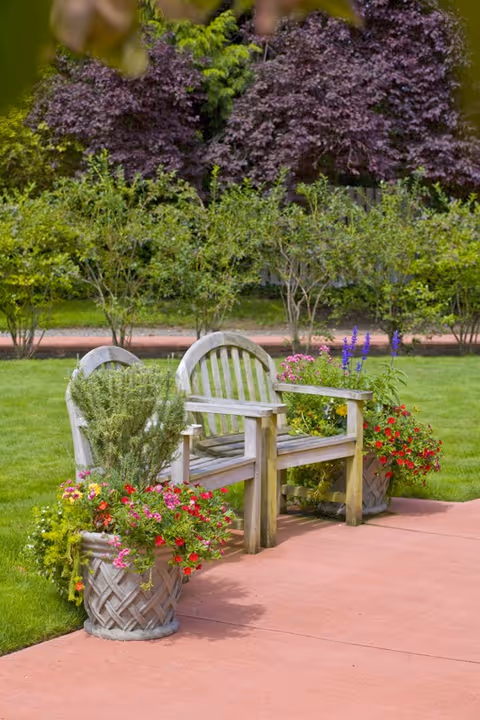 Two wooden benches with curved backs placed on a paved area in a garden. Each bench is flanked by large planters filled with colorful flowers and greenery. Behind the benches, there is a well-maintained lawn and a row of bushes with tall trees in the background.
