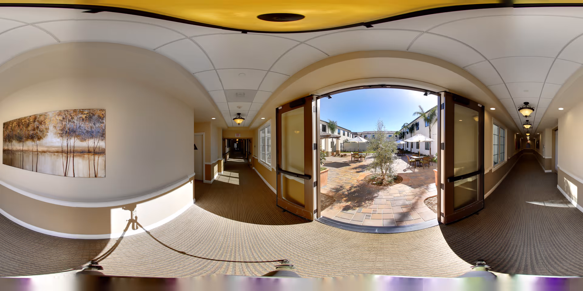 A wide hallway in a senior living facility with beige walls and carpeted floors. On the left side, there is a large painting of trees. The hallway leads to an open double door that reveals an outdoor courtyard with tables, chairs, umbrellas, and palm trees under a clear blue sky. The hallway is well-lit with ceiling lights and natural light from windows on the right side.